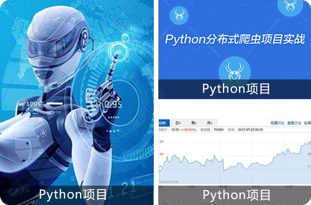 python项目